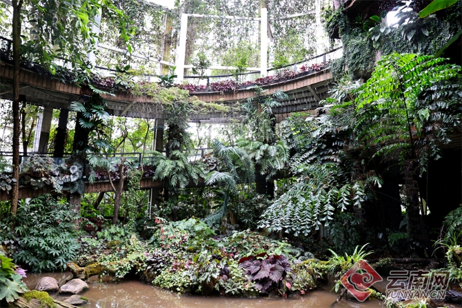 00304055771_ae5bf662