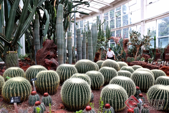 00304055772_319dfb7e