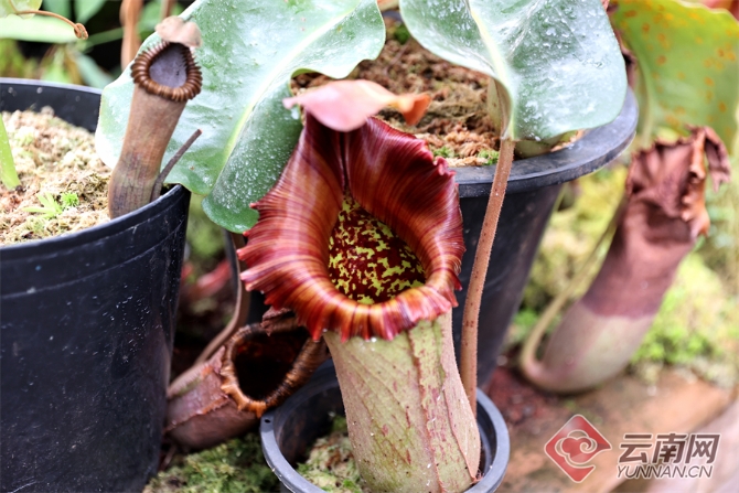 00304055773_c28ce916