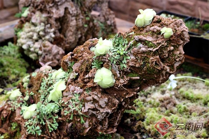 00304055774_f4f8abeb