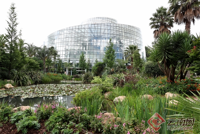 00304055775_15150021