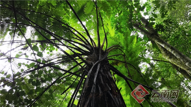 00304062056_a03cf1b5