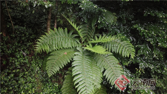 00304062057_0ef4818c