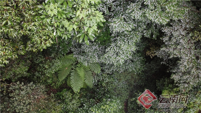 00304062058_304d8883