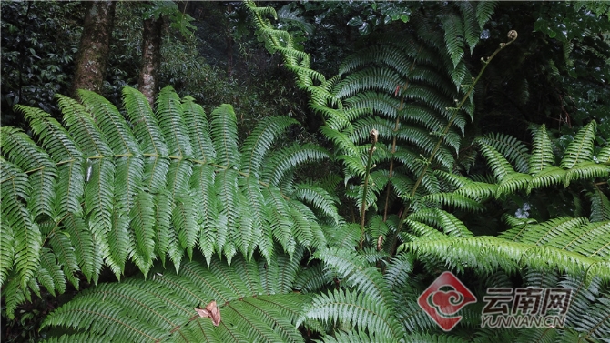 00304062059_75e29a78