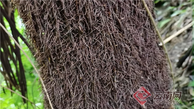 00304062060_f9104acb