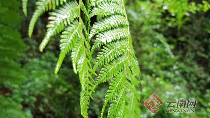 00304062061_b6fc3058