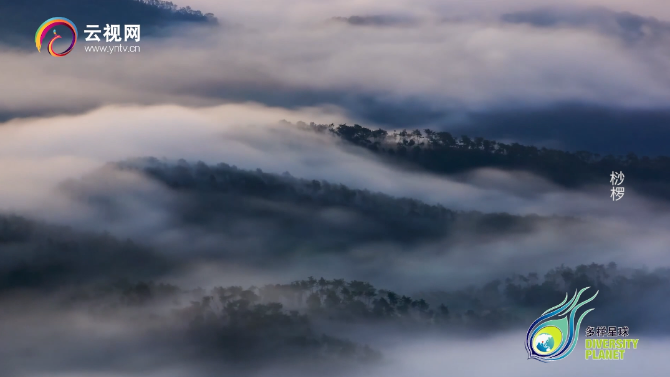 微信截图_20210723154840