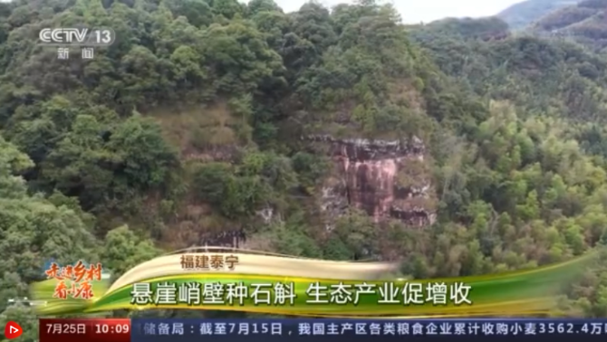 微信截图_20210725212816