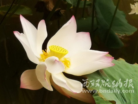 0723-03JJZK-006-225495-原文件