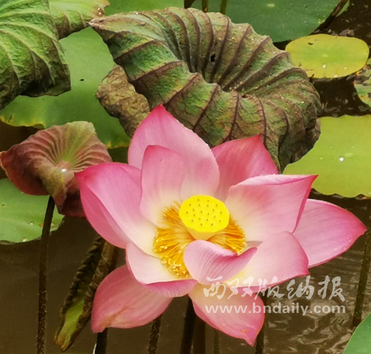 0723-03JJZK-006-225496-原文件