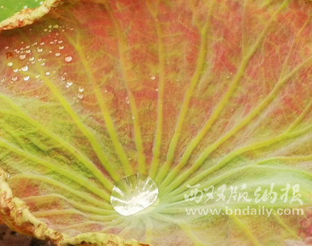 0723-03JJZK-006-225498-原文件