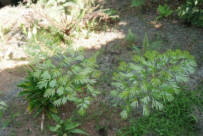 1627899229944795.jpg?x-oss-process=style/w10 微信图片_20210802181045.jpg?x-oss-process=style/w10