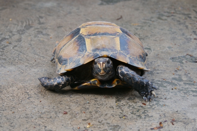 1627899321889276.jpg?x-oss-process=style/w10 微信图片_20210802181147.jpg?x-oss-process=style/w10