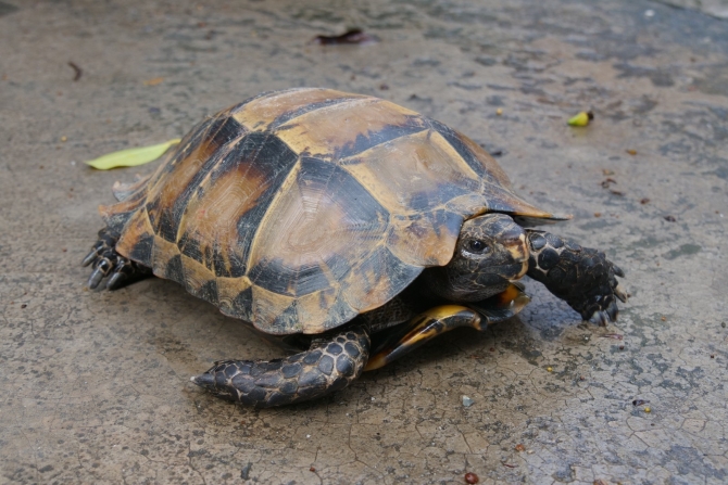 1627899345623537.jpg?x-oss-process=style/w10 微信图片_20210802181139.jpg?x-oss-process=style/w10