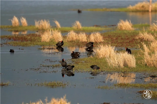 GetAttachment (7).jpg