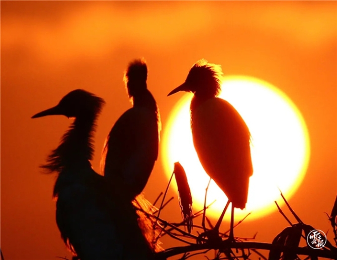 GetAttachment (14).jpg GetAttachment (14).jpg