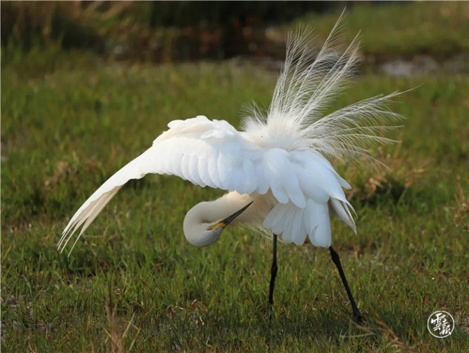 GetAttachment (11).jpg