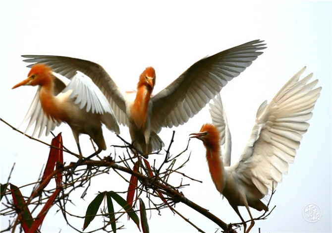 GetAttachment (15).jpg GetAttachment (15).jpg