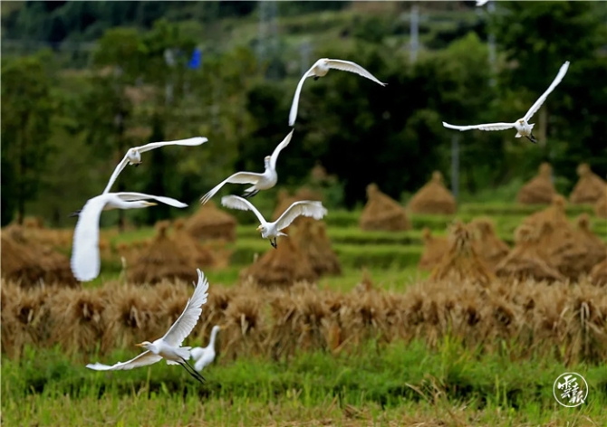 GetAttachment (19).jpg GetAttachment (19).jpg