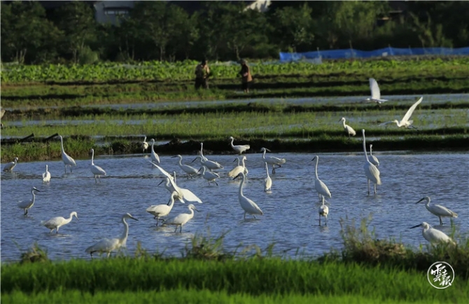 GetAttachment (20).jpg