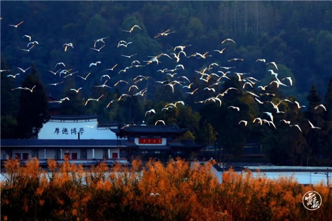 GetAttachment (10).jpg