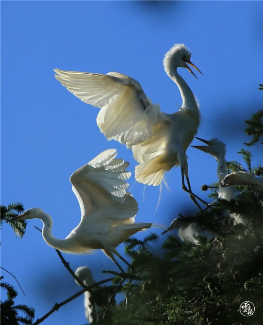 GetAttachment (12).jpg