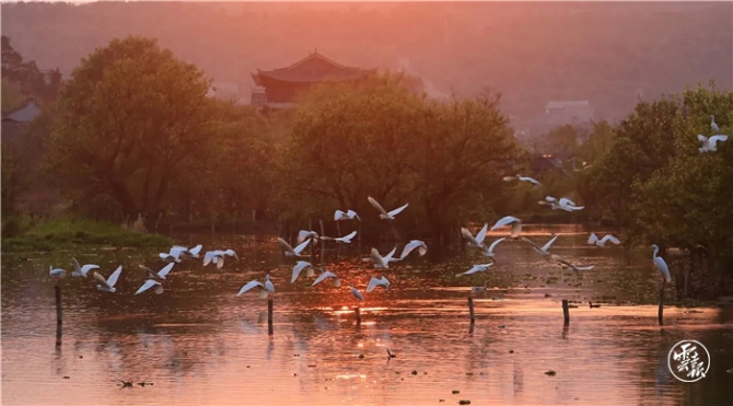 GetAttachment (9).jpg