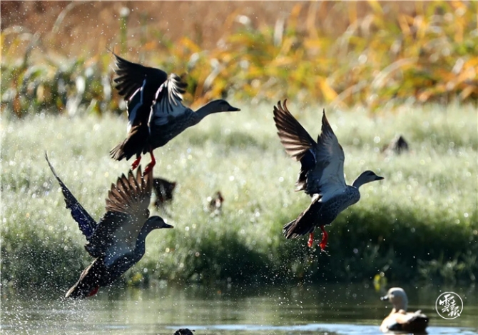 GetAttachment (16).jpg GetAttachment (16).jpg