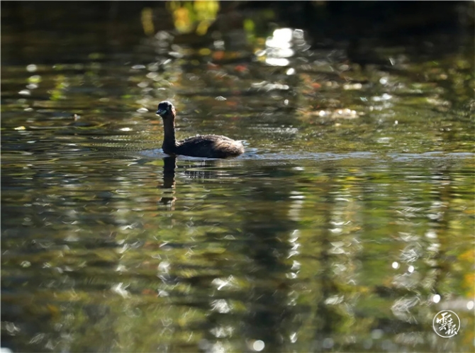 GetAttachment (17).jpg