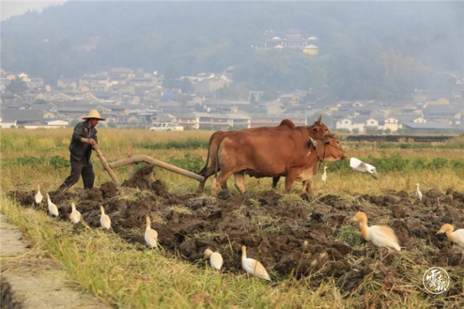 GetAttachment (13).jpg GetAttachment (13).jpg