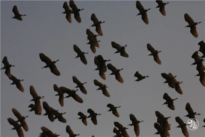 GetAttachment (18).jpg