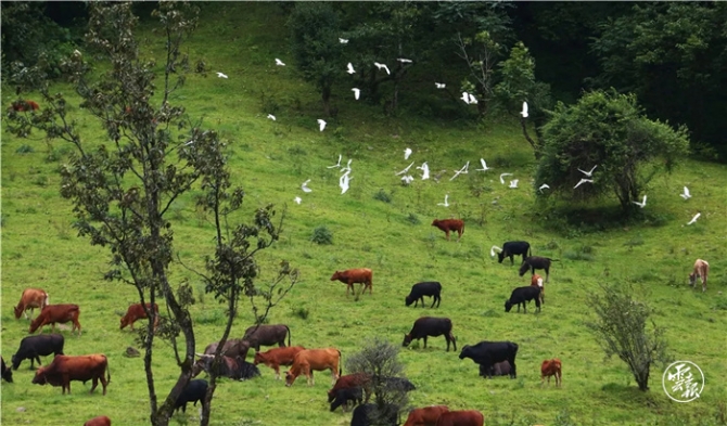 GetAttachment (22).jpg