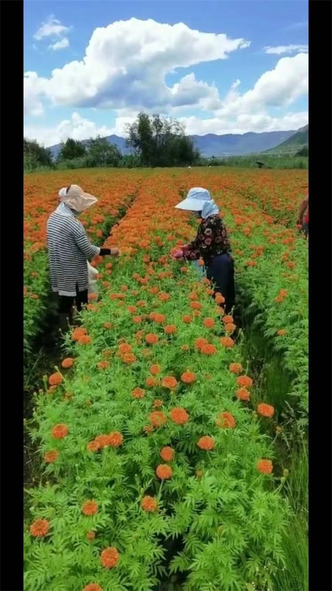 微信图片_20210805180306