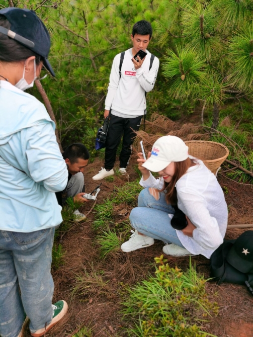 游客在普红有承包的山上拾菌拍照-(7月30日摄) 游客在普红有承包的山上拾菌拍照-(7月30日摄)