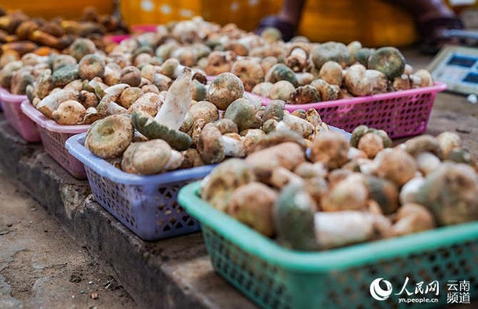 LOCAL202108110845000171914949221