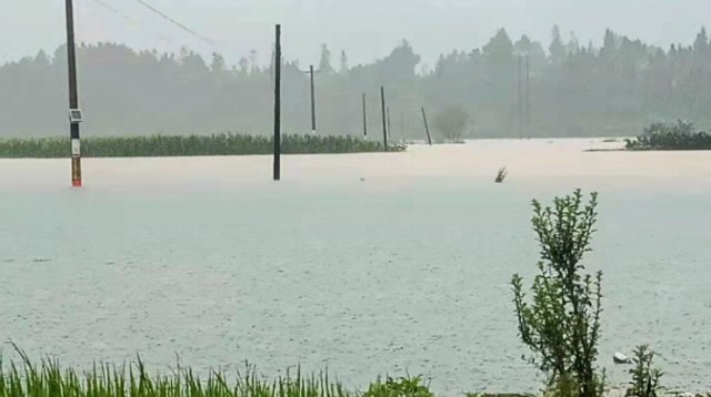 云南盈江县遭暴雨侵袭，已致2500余人受灾（）