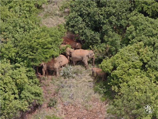 code_ynrb27bae87d-e86e-4a15-8856-1ff442adac5b