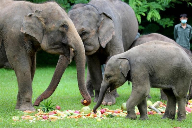 code_ynrba108b34b-a98e-44ef-a8d4-c1f1fa3a4c70