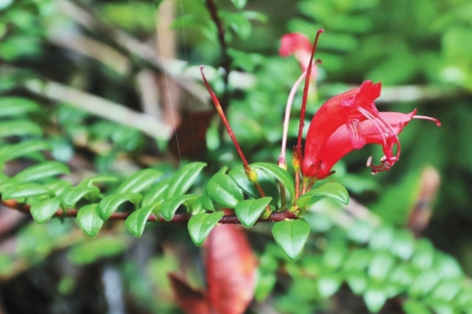 WX20210818-080451@2x