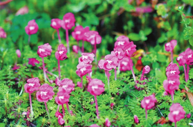 WX20210819-080614@2x WX20210819-080614@2x