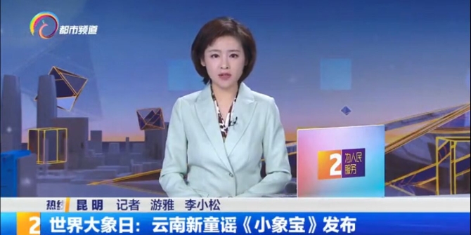 《小象宝》创作记:保护大象,是云南人对全世界的责任