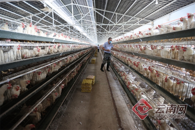 00304129658_e2b18363