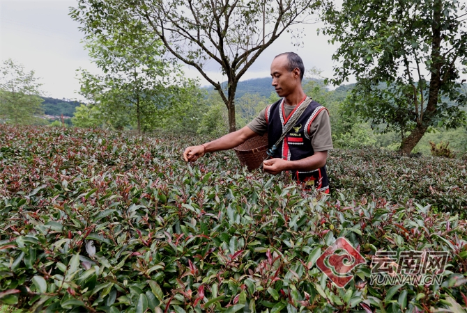 00304129663_a927d96a