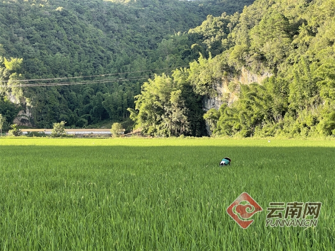 00304129665_6140c677