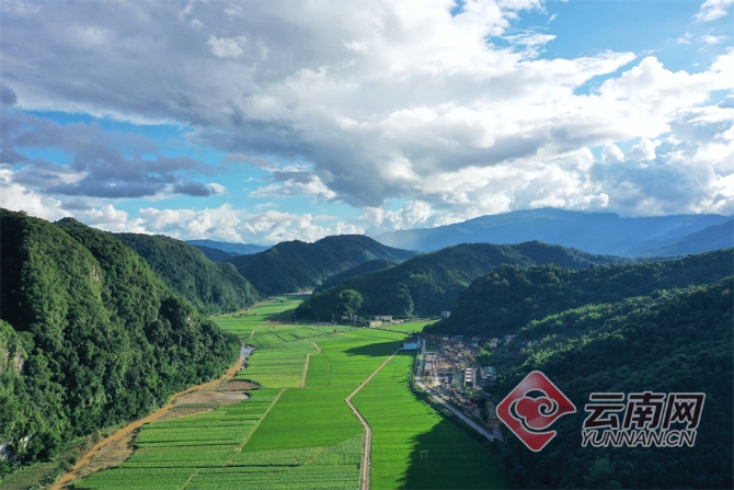 00304129667_2d39efb9