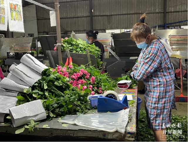 COP15云南生物多样性主题采访行在昆启动 春城晚报-开屏新闻记者 张田睿 摄影报道