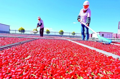 中等收入大军如何“扩群”