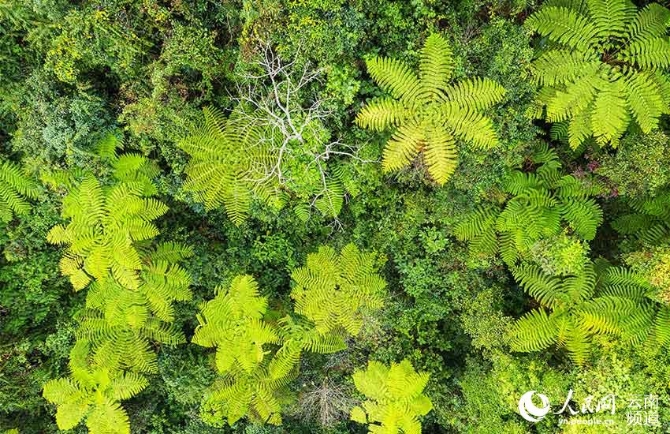 LOCAL202108281624000122742620900