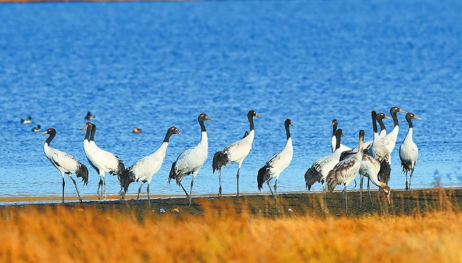 b0b93228-d71d-47ae-9837-036241e5b9d3.jpg b0b93228-d71d-47ae-9837-036241e5b9d3.jpg